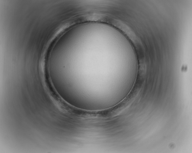 X0000103320626200809192141