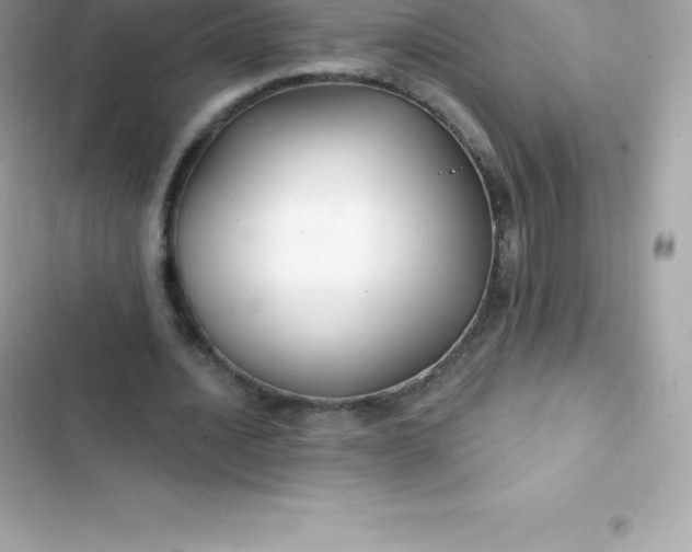 X0000103320628200809192141