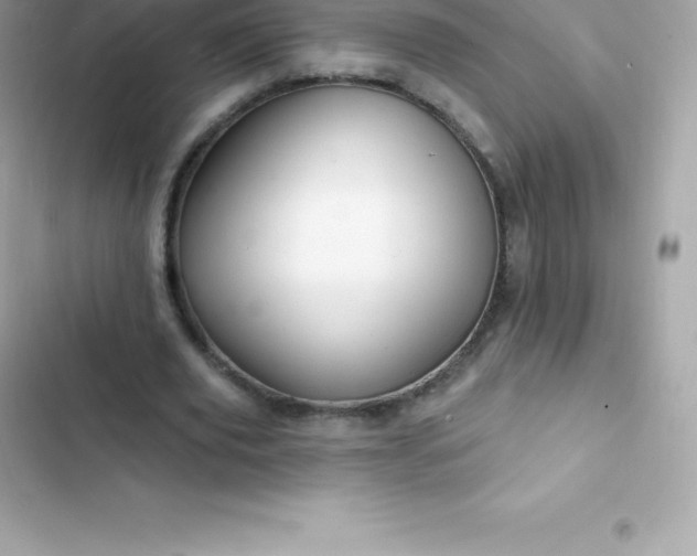 X0000103320629200809192141