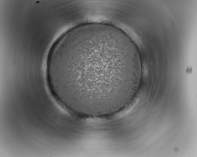 X0000103320630200809192141