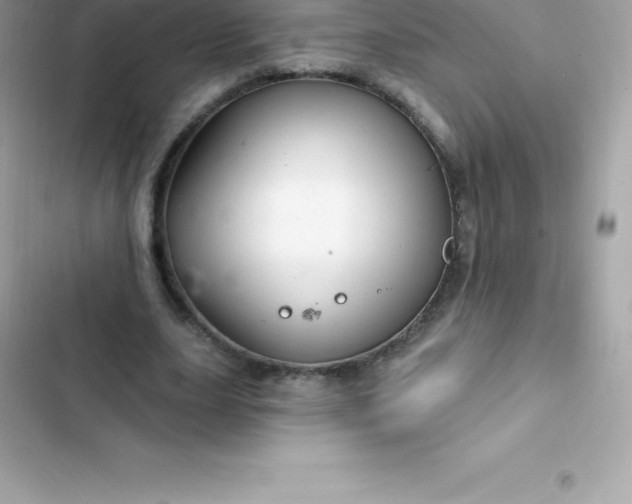 X0000103320631200809192141