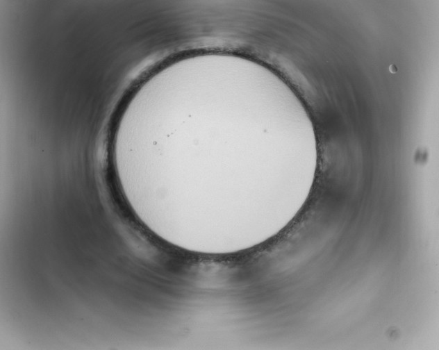 X0000103320632200809192141