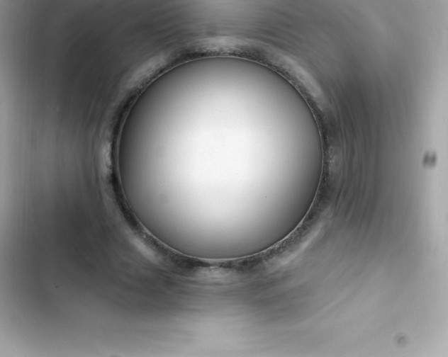 X0000103320633200809192141