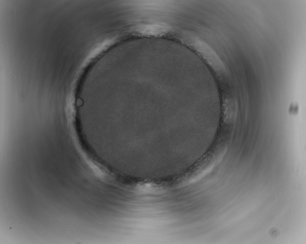 X0000103320634200809192141