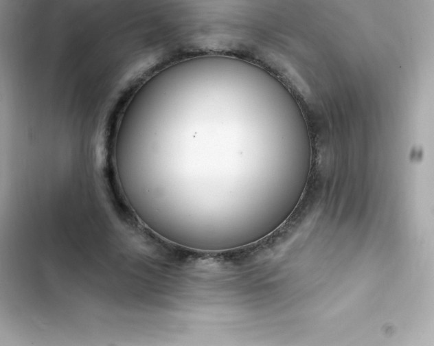 X0000103320635200809192141