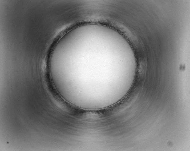 X0000103320636200809192141