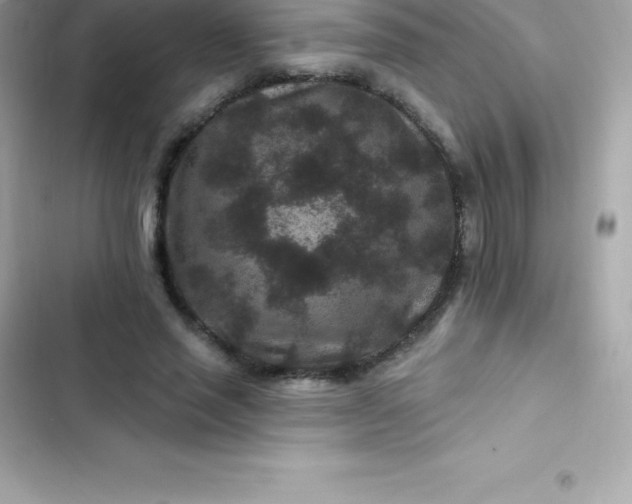 X0000103320637200809192141