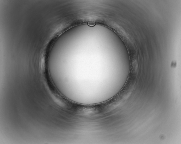 X0000103320638200809192141