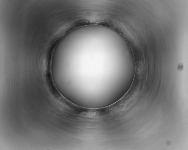 X0000103320639200809192141