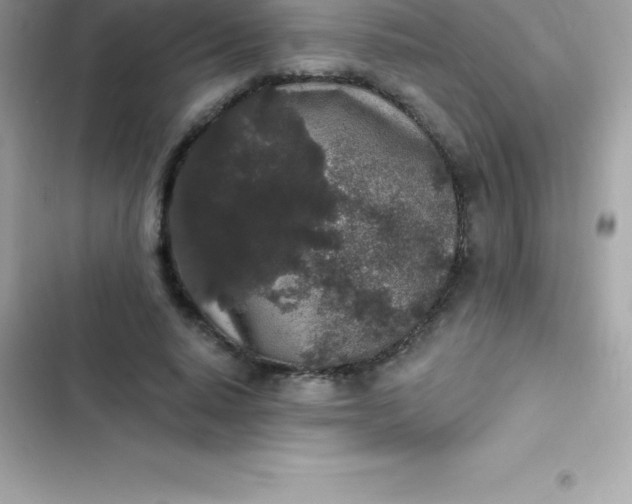 X0000103320640200809192141