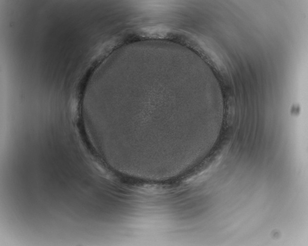 X0000103320641200809192141