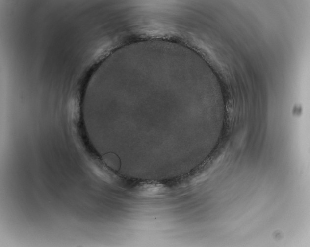 X0000103320642200809192141