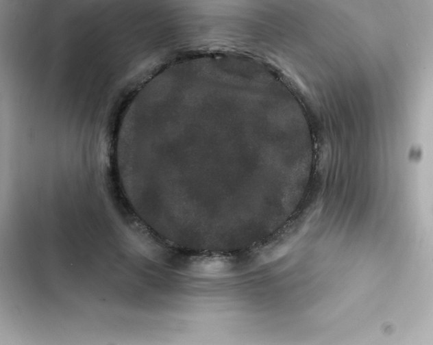 X0000103320643200809192141