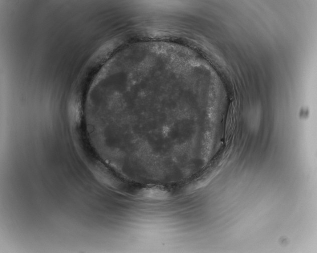 X0000103320644200809192141