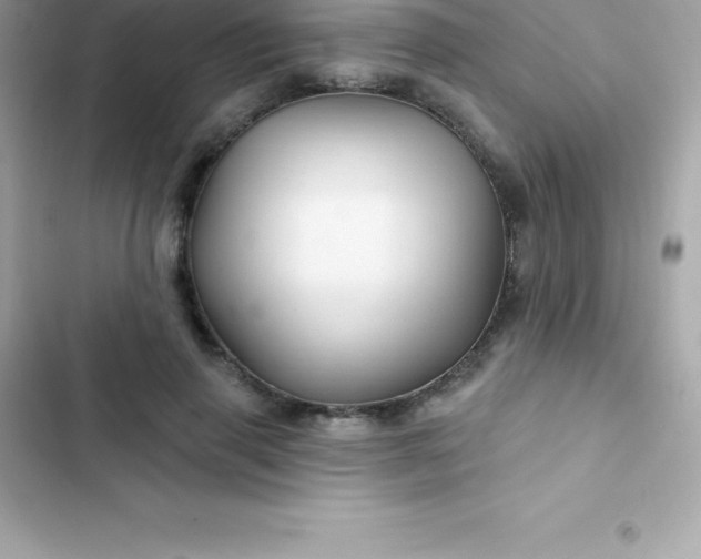 X0000103320645200809192141