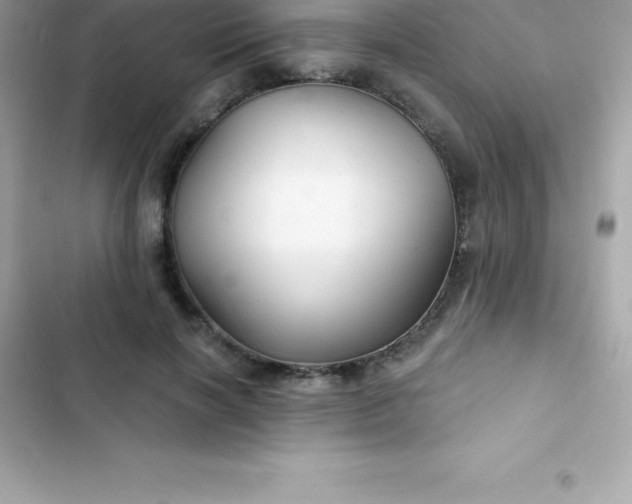 X0000103320646200809192141