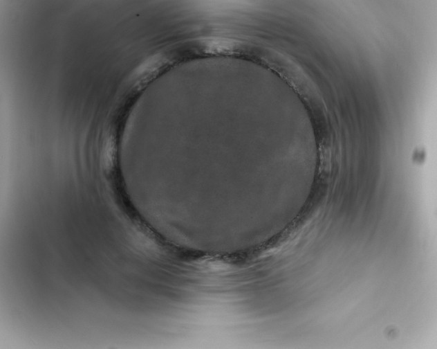 X0000103320648200809192141