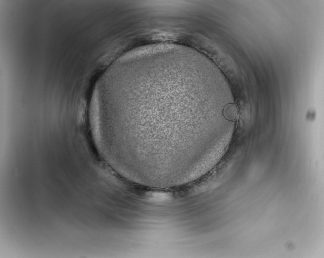 X0000103320649200809192141