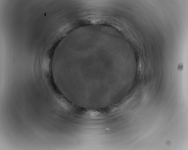 X0000103320650200809192141