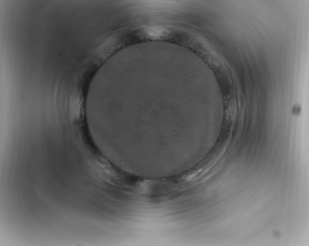 X0000103320651200809192141