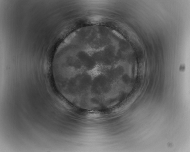 X0000103320653200809192141