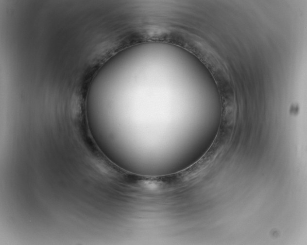 X0000103320654200809192141