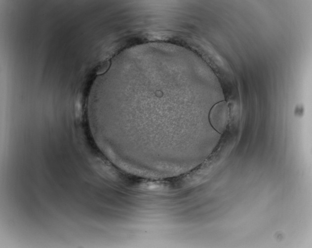 X0000103320655200809192141