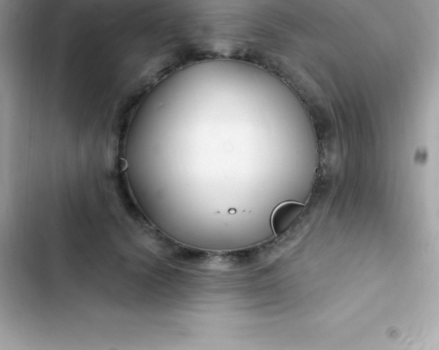 X0000103320656200809192141