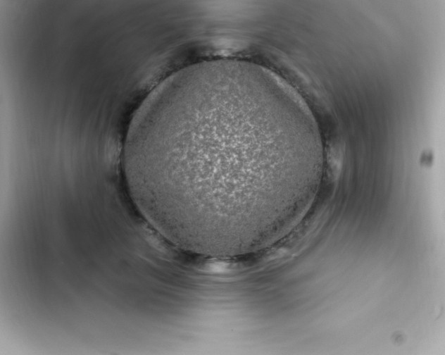 X0000103320657200809192141