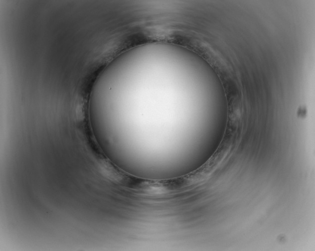 X0000103320658200809192141