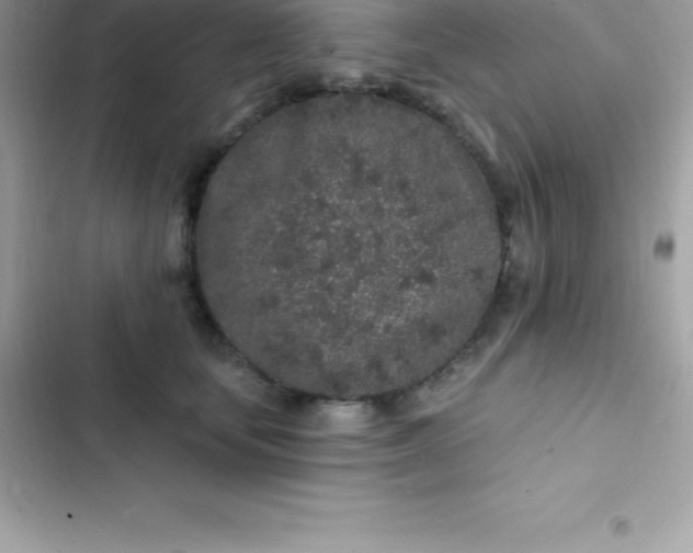 X0000103320659200809192141