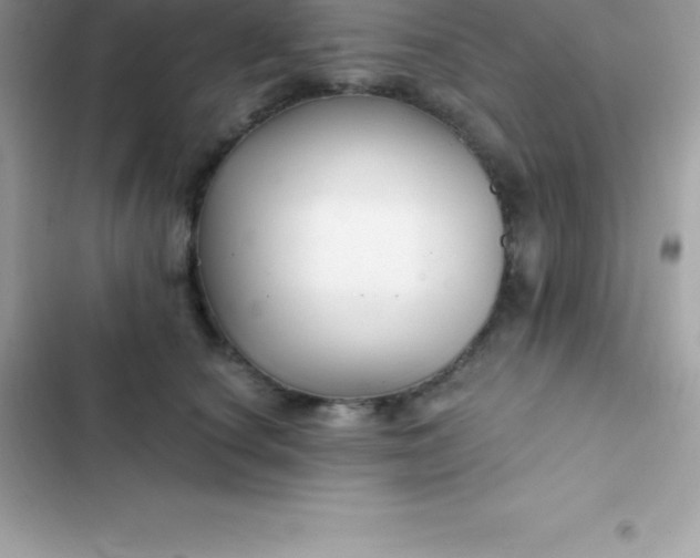 X0000103320660200809192141