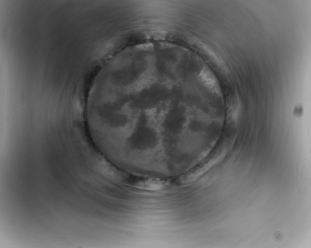 X0000103320661200809192141