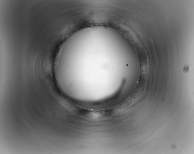 X0000103320662200809192141