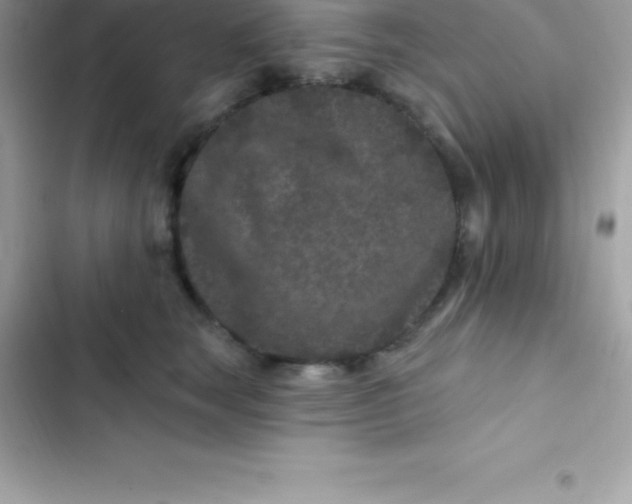 X0000103320663200809192141