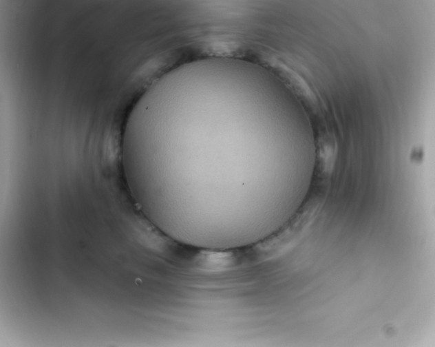 X0000103320665200809192142