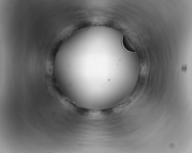 X0000103320666200809192142