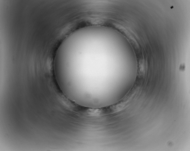 X0000103320667200809192142