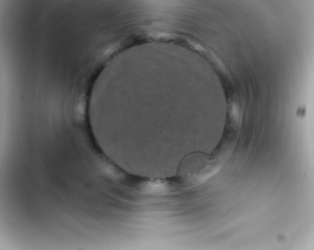 X0000103320668200809192142