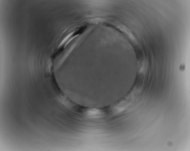 X0000103320669200809192142