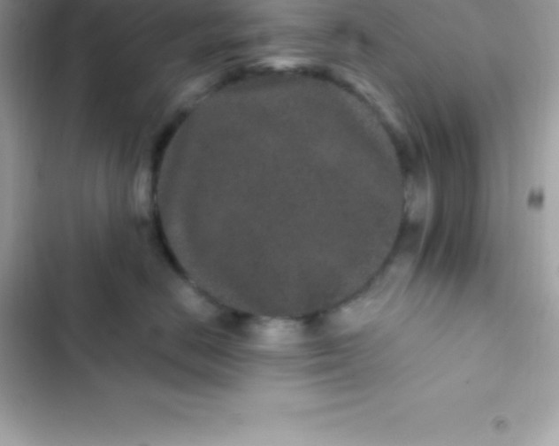 X0000103320670200809192142