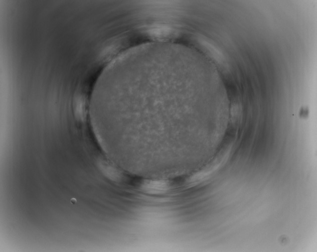 X0000103320671200809192142