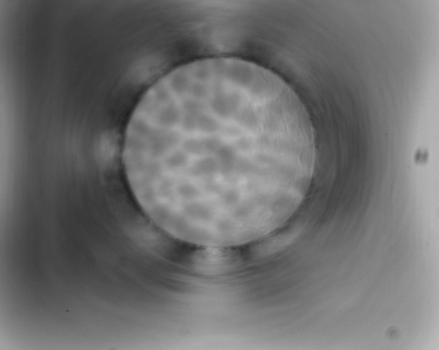 X0000103320672200809192142