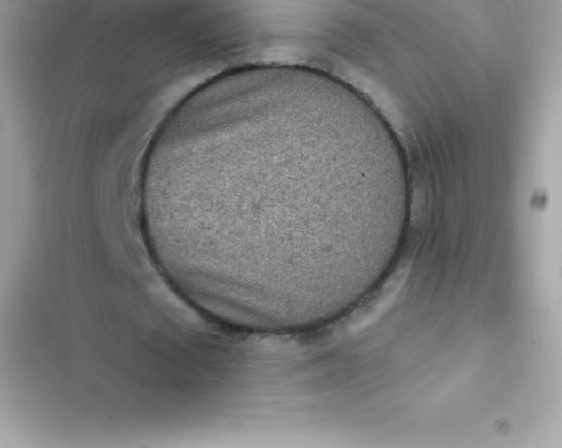 X0000103320673200809192141