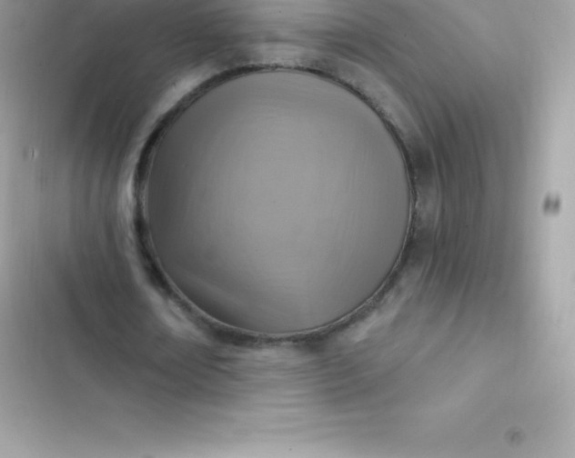 X0000103320674200809192141