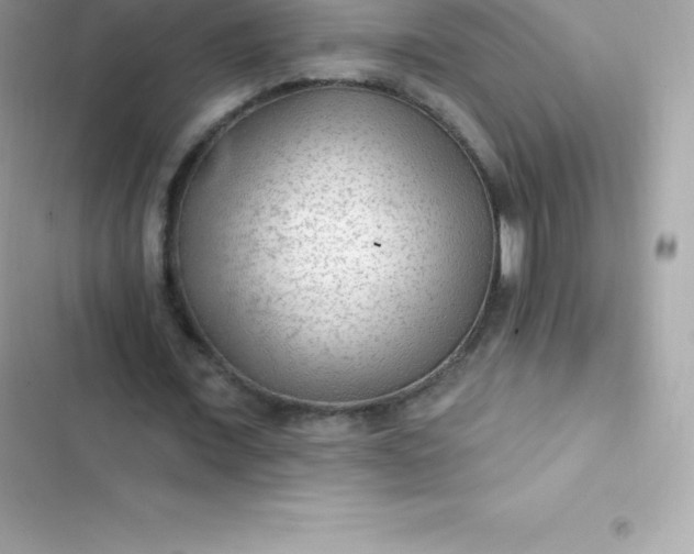 X0000103320675200809192141