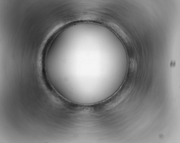 X0000103320676200809192141