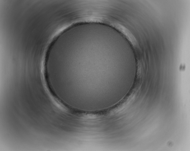 X0000103320677200809192141