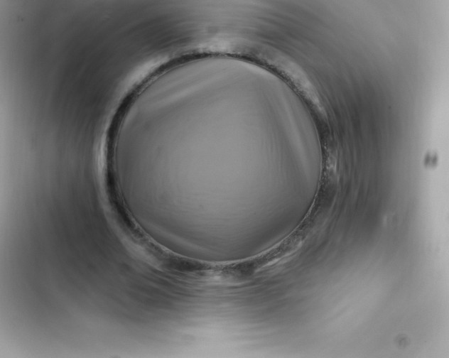 X0000103320678200809192141