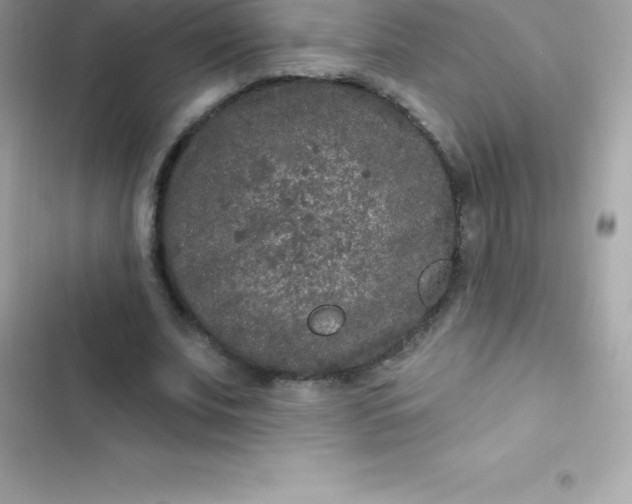 X0000103320679200809192141